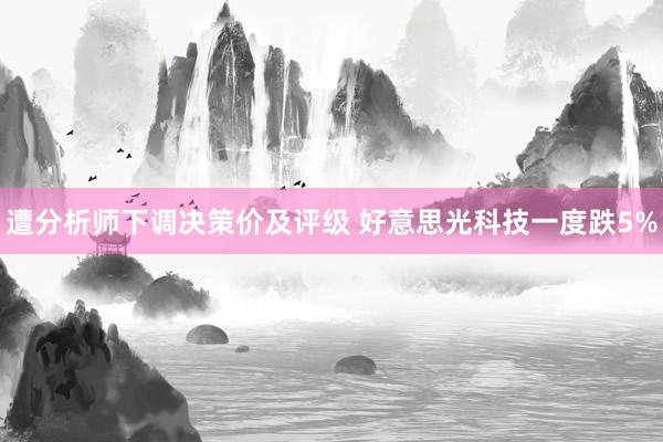 遭分析师下调决策价及评级 好意思光科技一度跌5%