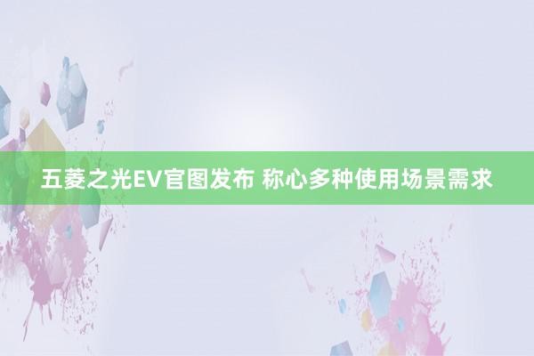 五菱之光EV官图发布 称心多种使用场景需求